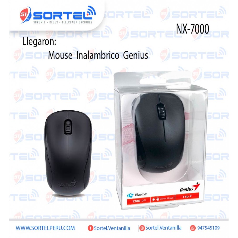 copy of 